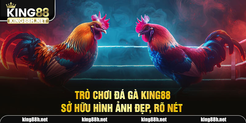 Trò chơi đá gà King88 cực thú vị và kịch tính