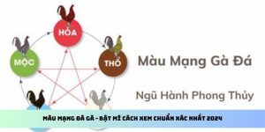 màu mạng đá gà king88