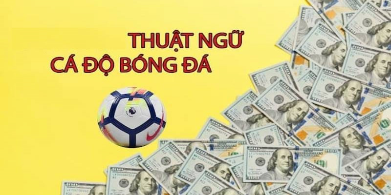 Khái niệm về thuật ngữ cá độ trong bóng đá